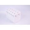 10 Cajas Agujas EPTE® 0,30x60mm